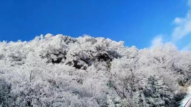 勇者大冒险