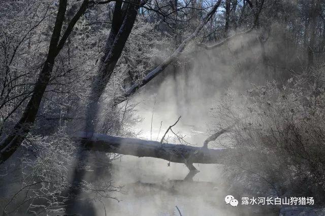 疯马秀官网晒Lisa高清艳舞照！她性感妖艳动作很不雅