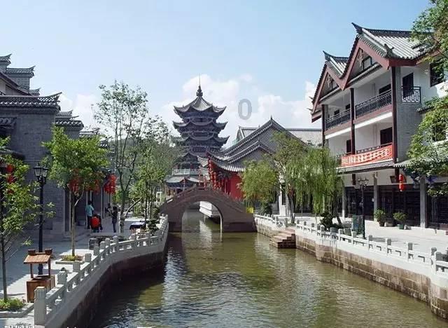 大熊猫楼生在小院里享受阳光,这造型妖娆又霸气